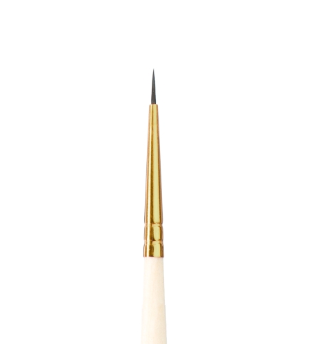 341my-small.jpg